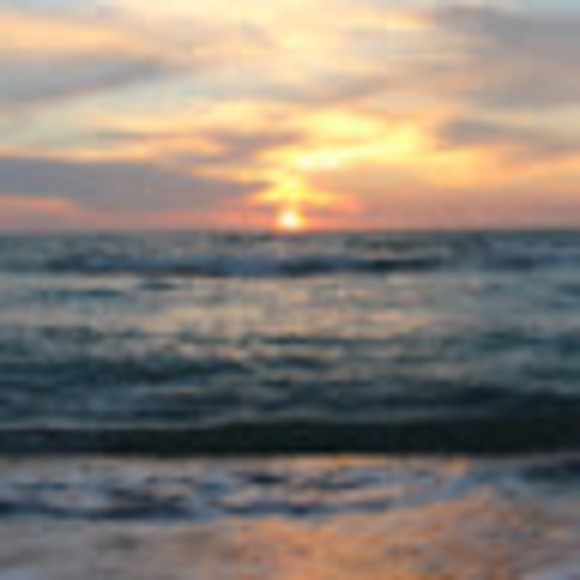 Meet your Posher, Zoe - Picture 1 of 1